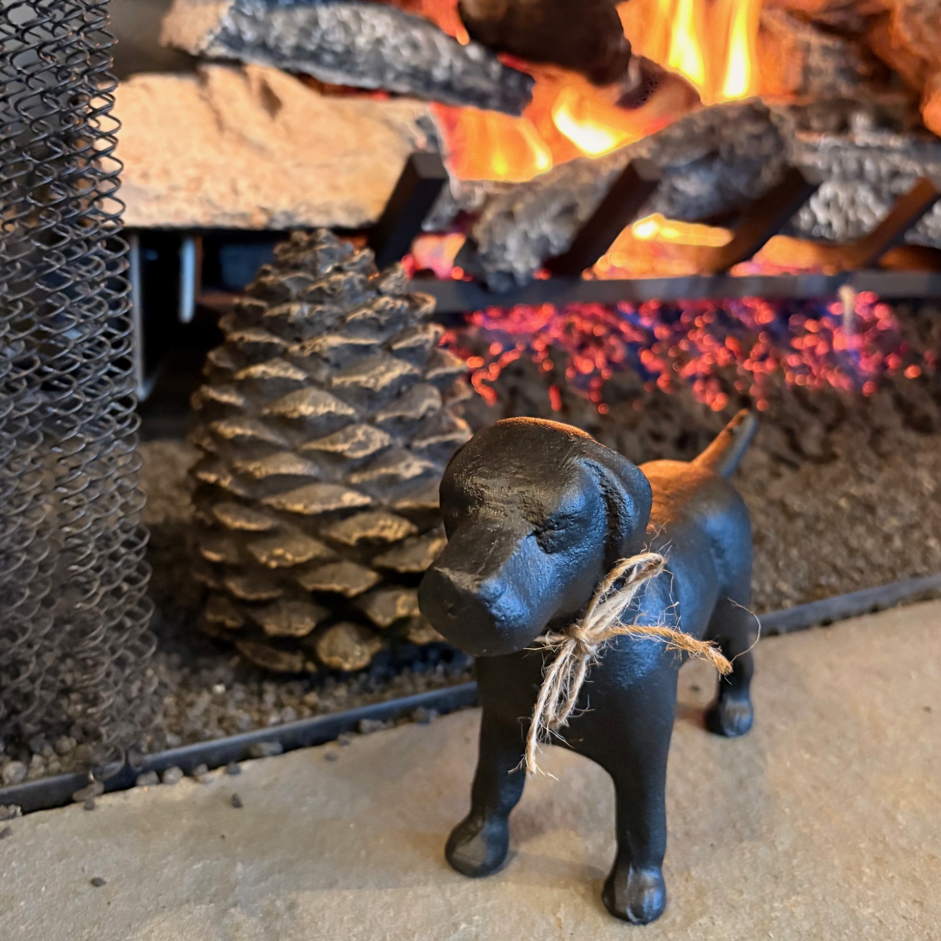 Spot Introduction Cast iron dog by a fireplace